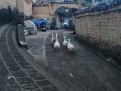-和顺柏联温泉