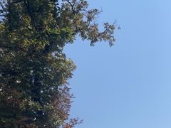 -布拉迪斯拉发城堡