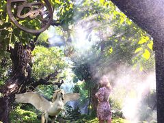 -Chom Cafe and Restaurant