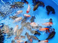 -华声天桥民俗文化园