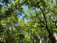 -北京大学百年讲堂