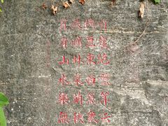 -抱犊崮国家森林公园