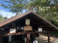 -海南分界洲岛旅游区