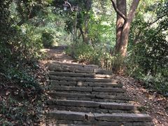 -杭州半山国家森林公园