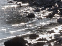 -深圳湾公园(南山区)