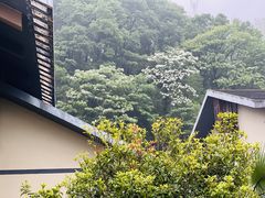 -明月山天沐温泉度假村