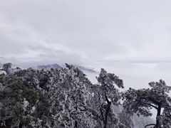 -庐山风景名胜区