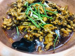 香辣牛蛙-晓林火锅(安定门店)