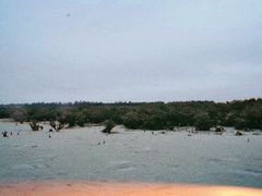 -北海金海湾红树林生态旅游区