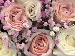 -怡花宜木鲜花店(朝阳路店)
