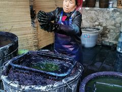 -璞真扎染博物馆