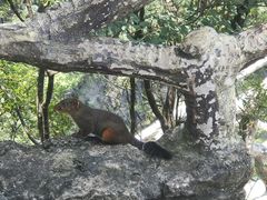 -重庆云阳龙缸景区