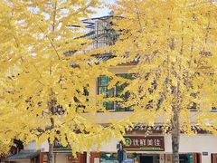 -大理古城