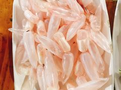 鲮鱼泡-章记正宗南岗鱼蛋火锅