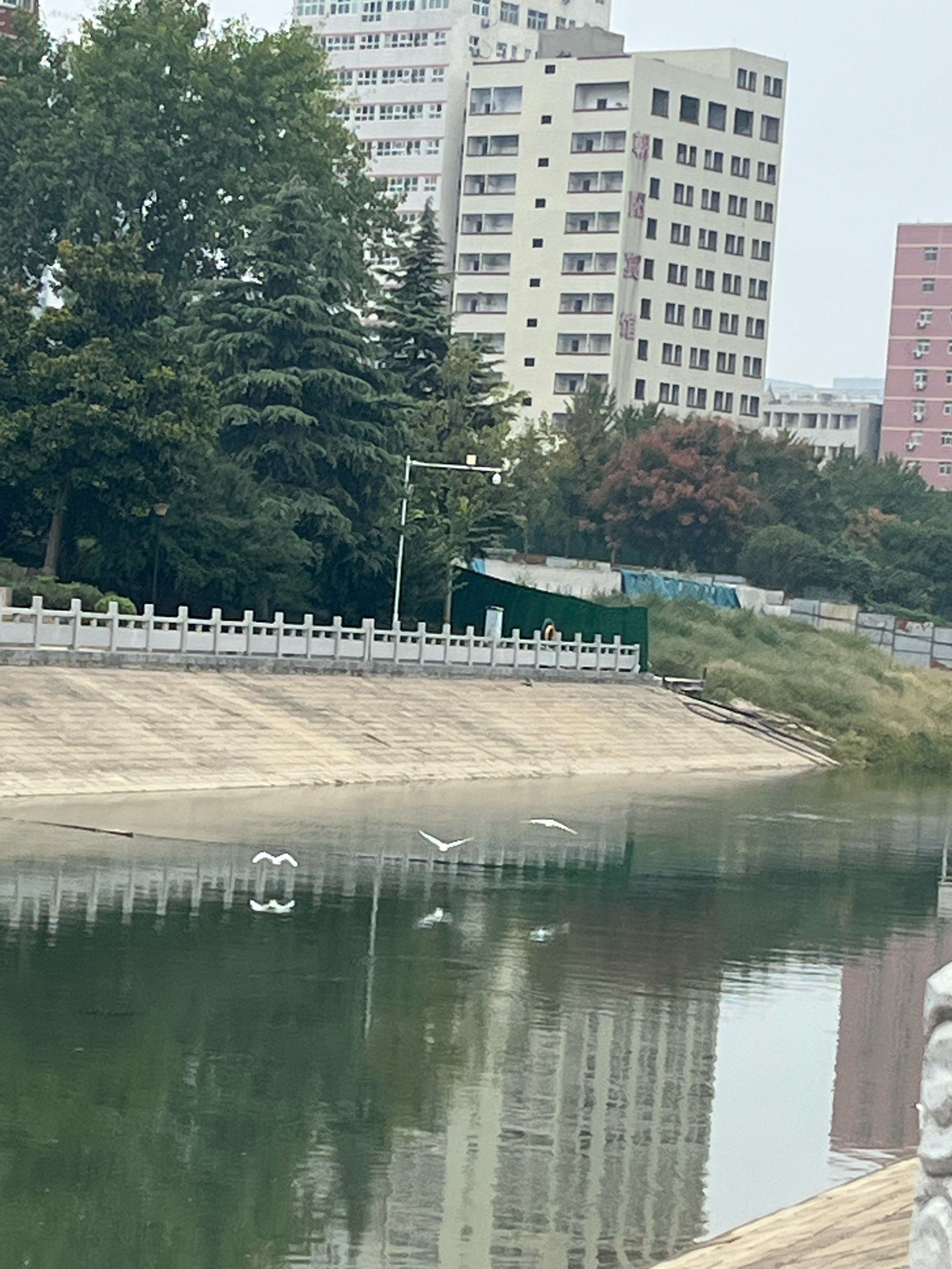0元玩转这座城郑州东风渠