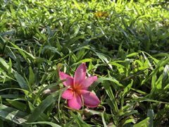 -云溪植物园