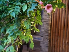 -老北京风情街