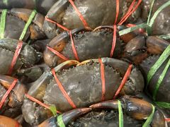 -Ob Aroi Town In Town (Not Ob Aroi franchise)