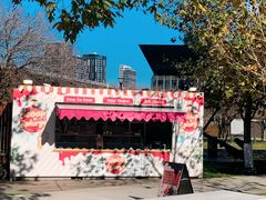 -墨尔本之星 观景摩天轮