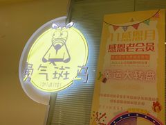 -勇气斑马·巴西柔术&跆拳道(浦东三林店)
