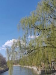 -美妍纹绣·半永久纹眉