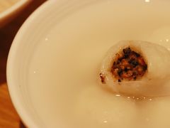 海丝金凤元宵圆-海丝金凤(金鱼店)