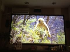 -如家酒店(北京国展三元桥店)