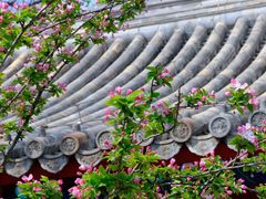 -北京古代建筑博物馆