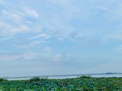 -阳澄湖半岛旅游度假区
