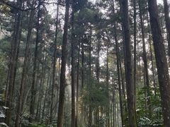 -狼山风景名胜区