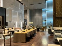 -观廊大堂吧(国际会展中心希尔顿酒店x冰雪世界店)