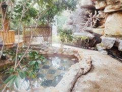 -深业半汤御泉庄温泉