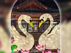-趵突泉景区