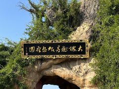 -大槐树寻根祭祖园