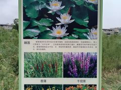 -两河城市森林公园