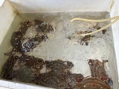 -赵璐海鲜面馆(德行路店)