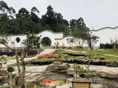 -都江堰玫瑰花溪谷
