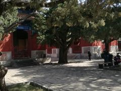 -北京国子监胡同