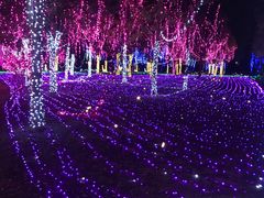 -歌斐颂巧克力小镇