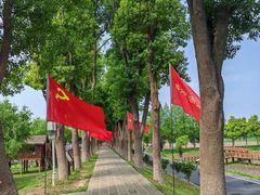 -洪湖生态旅游区