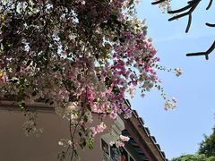 -深圳国际园林花卉博览园