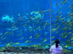 -华夏文旅西安度假区