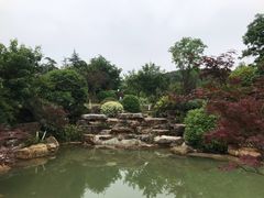 -铁山坪森林公园