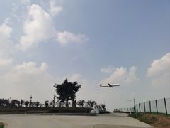 -空港花田景区