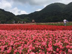-广州市石门国家森林公园