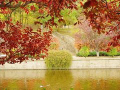 -元大都城垣遗址公园