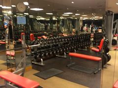 -健身专家Wellness Experts