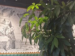 -金柱大盘鸡(波斯坦店)