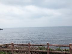 -涉地可支