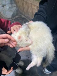 -Zoolung Zoolung动物主题公园(海信广场店)